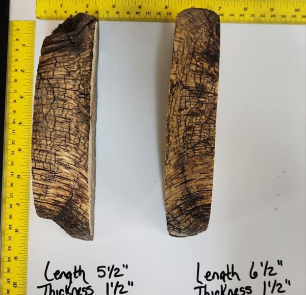 Buy Pair of Stabilized Musk Ox Horn Scales – Ethically Sourced from Fairbanks, Alaska - Image 2